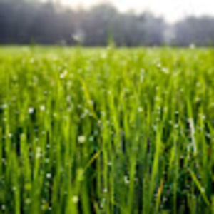 Meet your Posher, Alexander